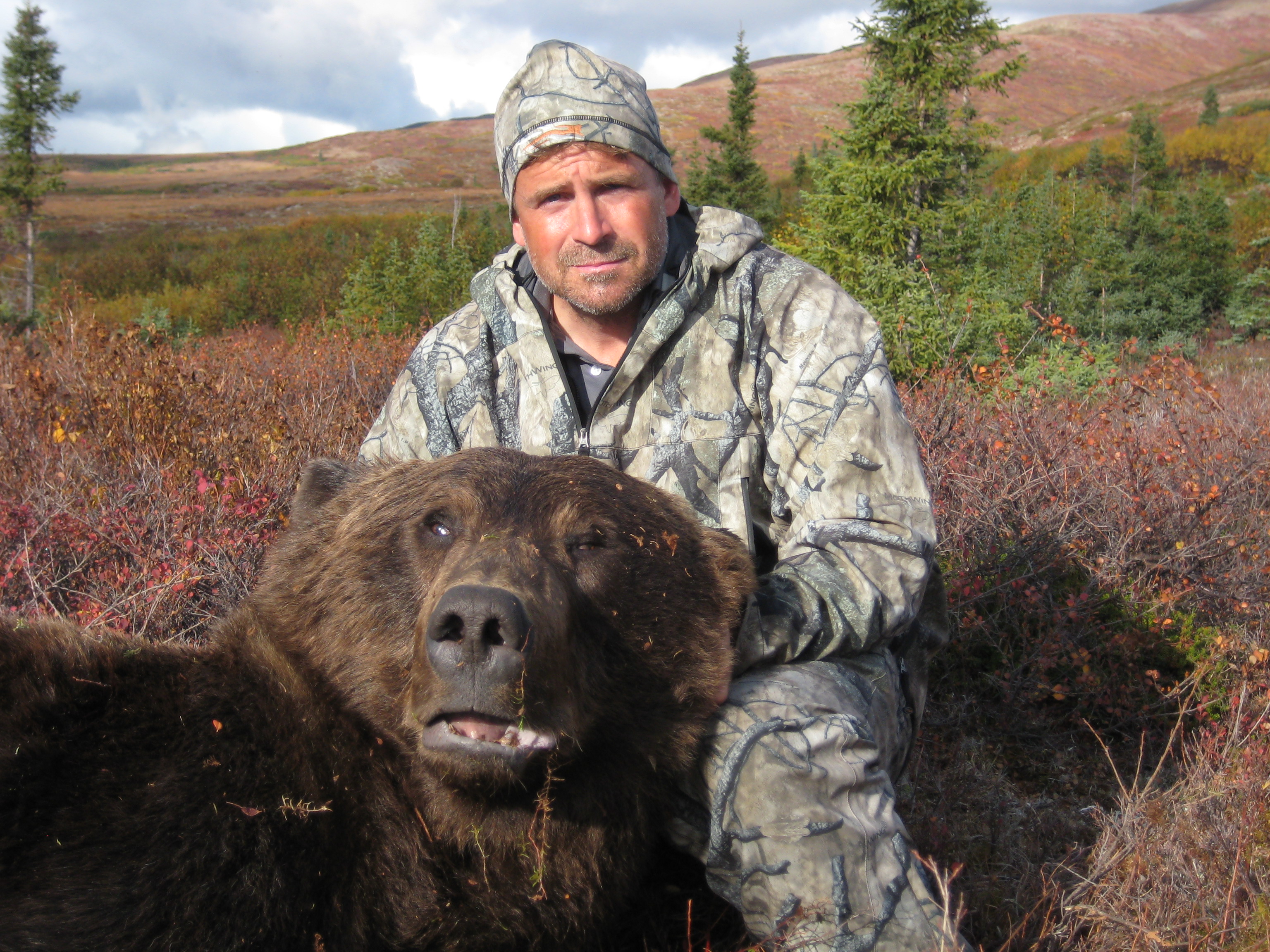 Огромный медведь Гризли Аляска